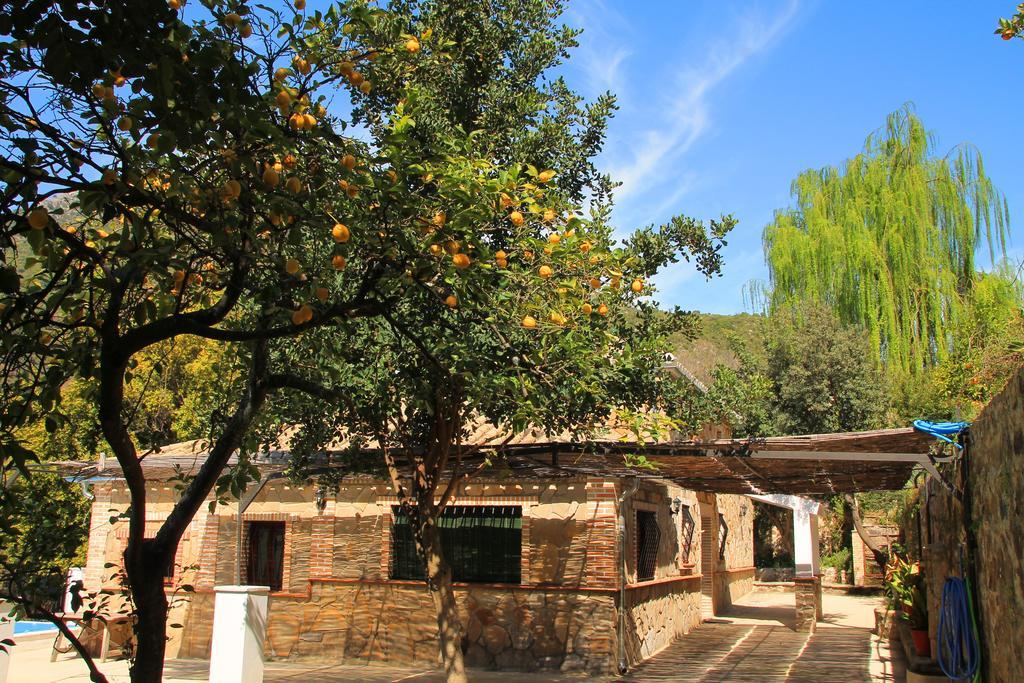 La Fuente De El Nacimiento Guest House Benamahoma Bagian luar foto